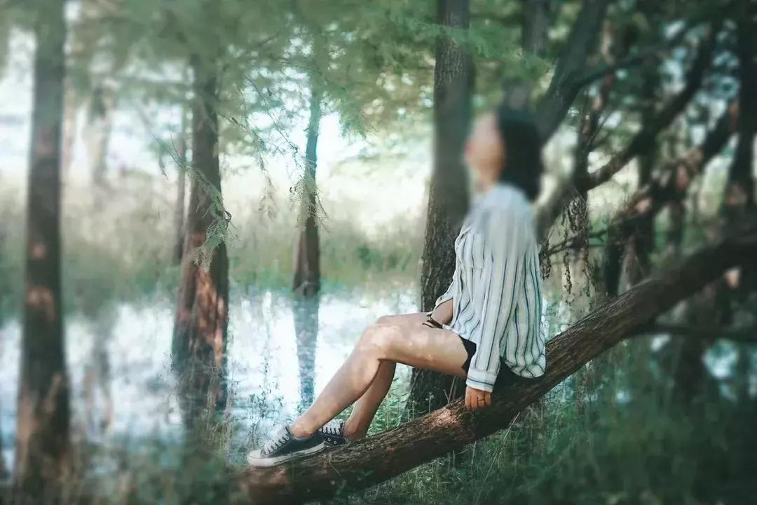 仙本那和印度尼西亚潜水哪个更好,仙本那彩湖潜水度假村多少钱一天