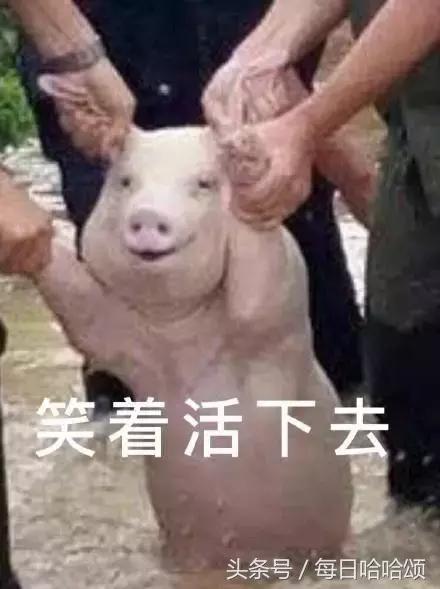 中国男性的身体素质标准,为什么普遍男性素质不高