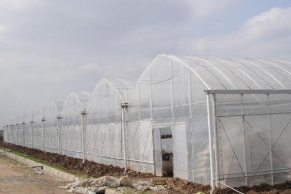 浙江温室大棚消毒,建设蔬菜温室大棚选哪家