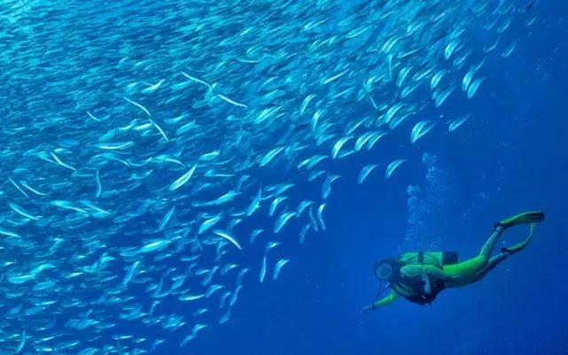 娉曞浗鍏嶇灏忓矝鏃呮父,娉曞浗鍏嶇娴峰矝鏃呮父