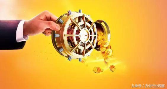 生态菜园盈利模式,私家菜园创业计划书