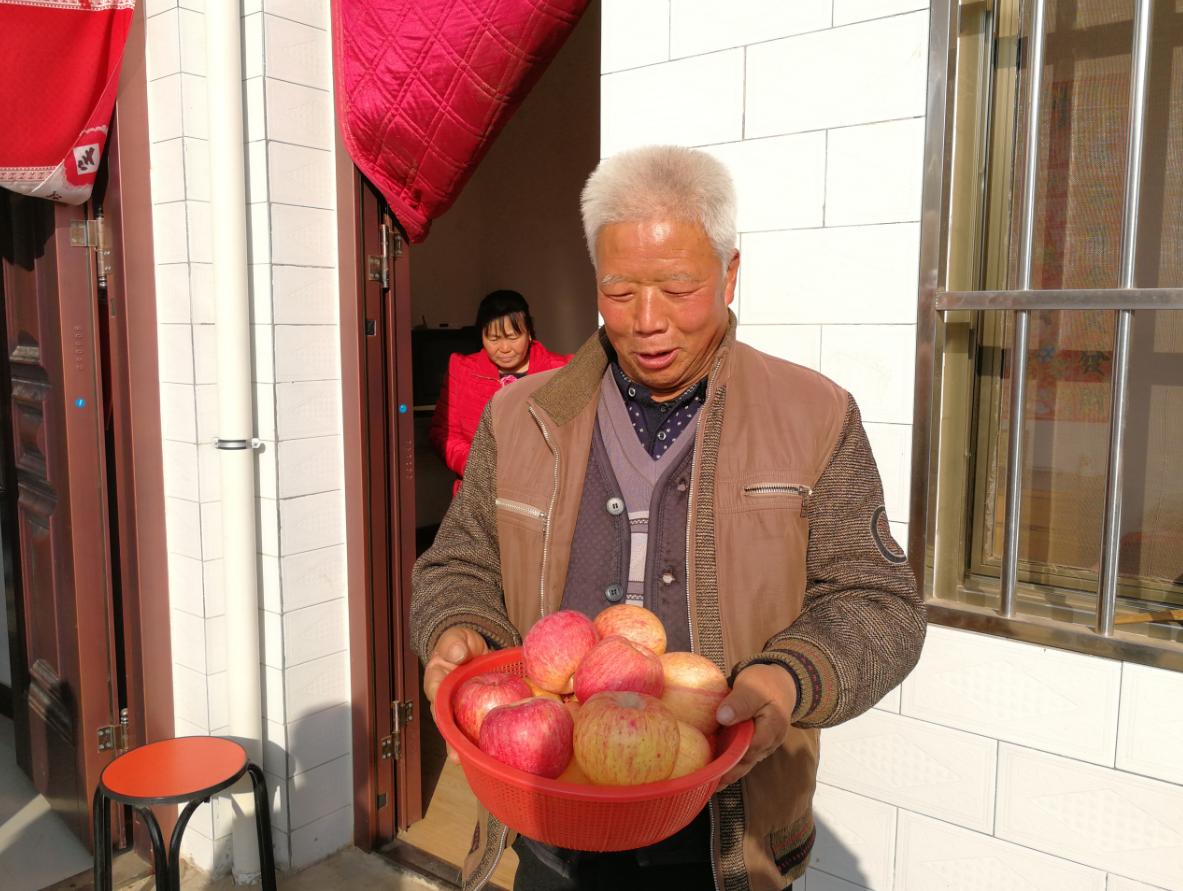 凤翔苹果产业园,陕西凤翔苹果加工厂