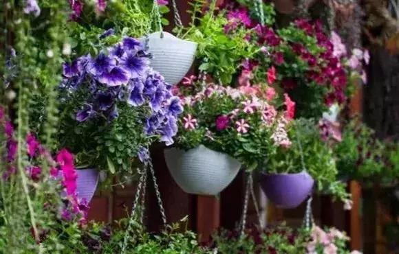 春来花自青秋至叶飘零原文解释,春来花自青秋至叶飘零出自哪里