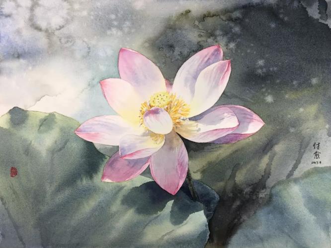 水彩夏天清新森系初学者荷花,水彩荷花画教程入门
