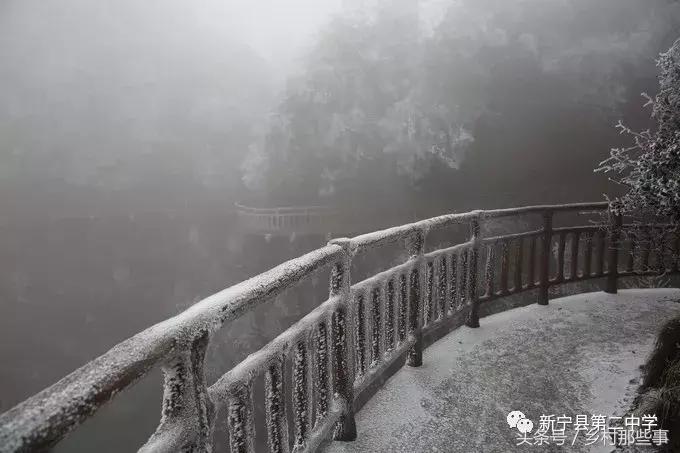 崀山鲸鱼闹海视频,不见鲸鱼的全部小说