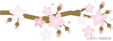 唯美中式风景,唯美花开美景图片