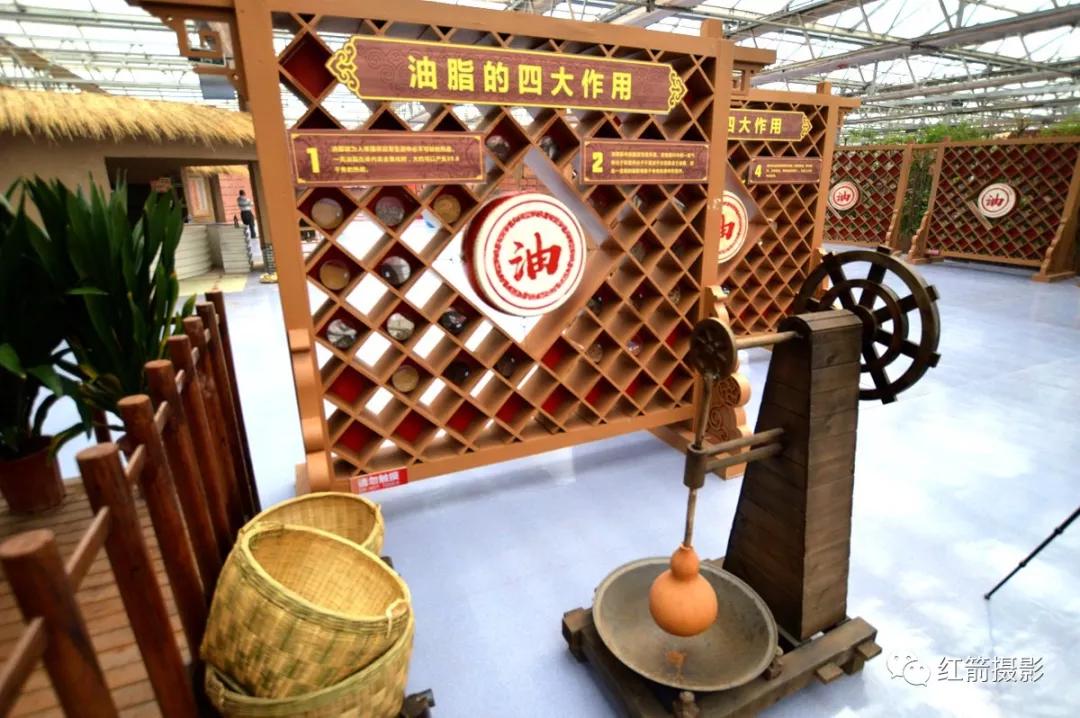 农业嘉年华北京,北京农业嘉年华延期