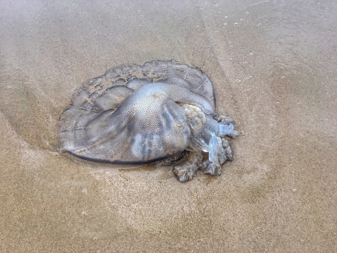 一路“王”下去----在三亚浪，把开会玩成度假！3