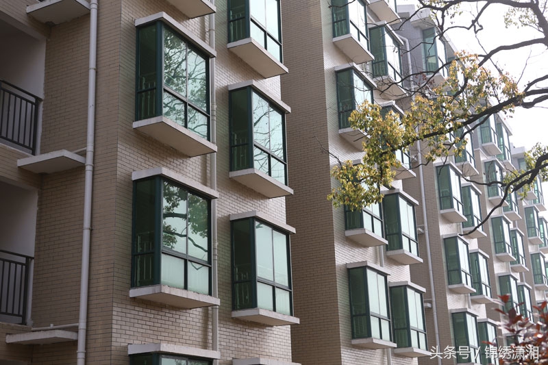 衡阳石鼓区租房一室一厅免中介费,衡阳石鼓区房屋出租