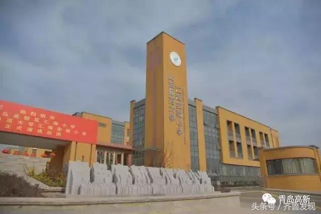 住在南海小岛上是一种怎样的体验,住在红岛的真实感受