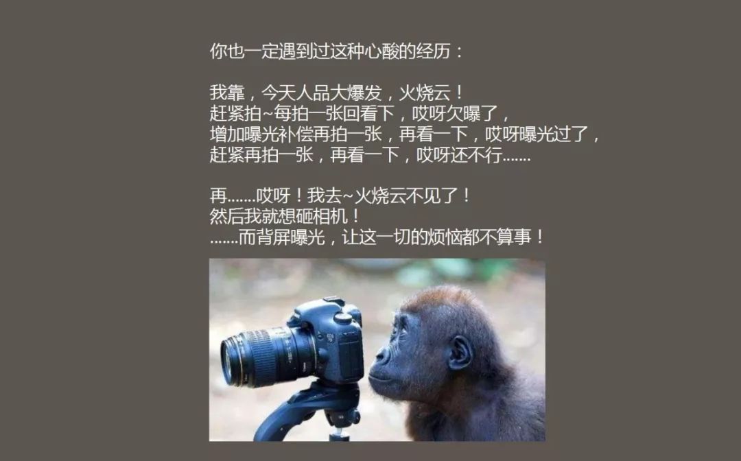 测光拍照技巧,拍照时怎么调节测光