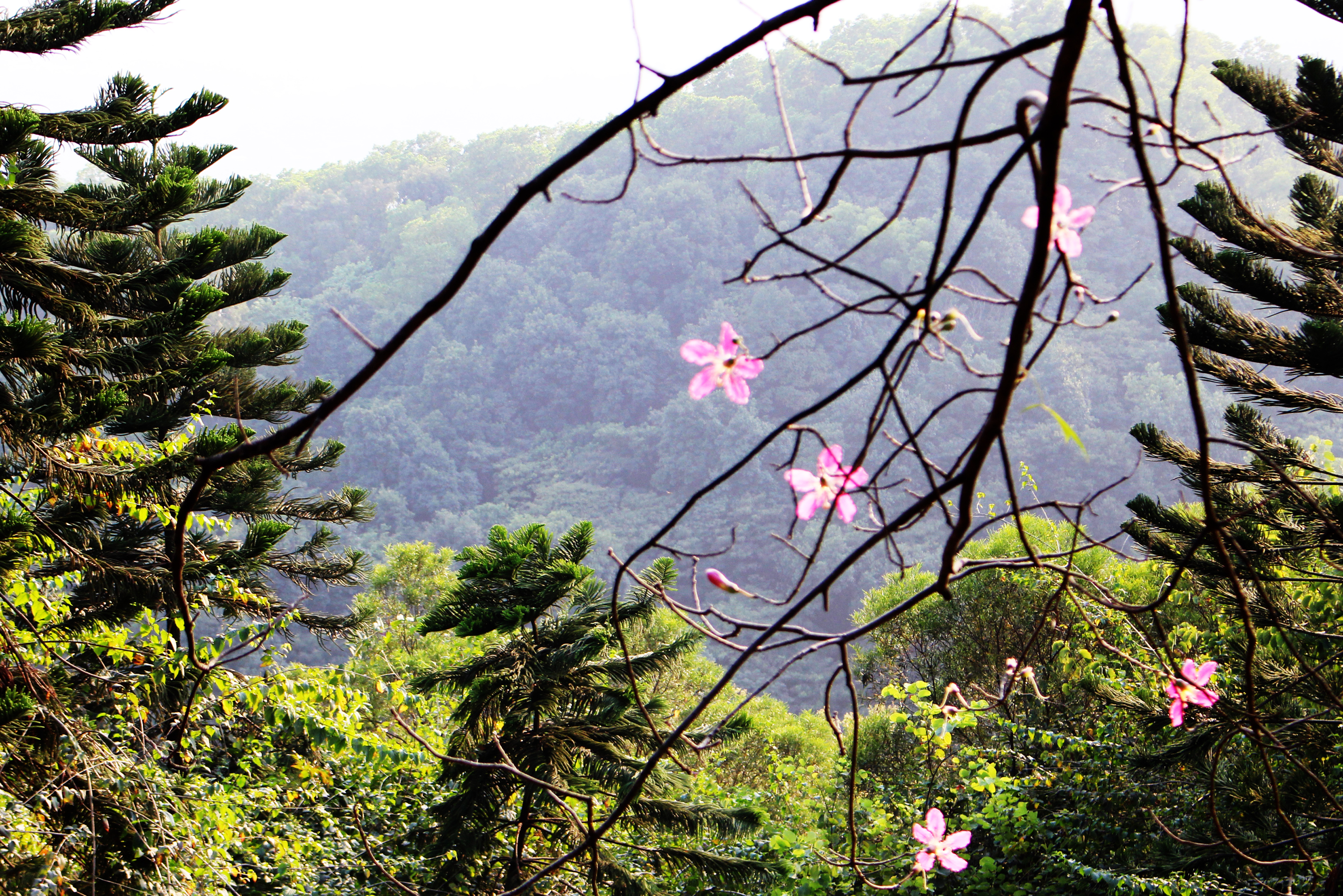 广州白云山百年的历史,广州白云山的名胜古迹
