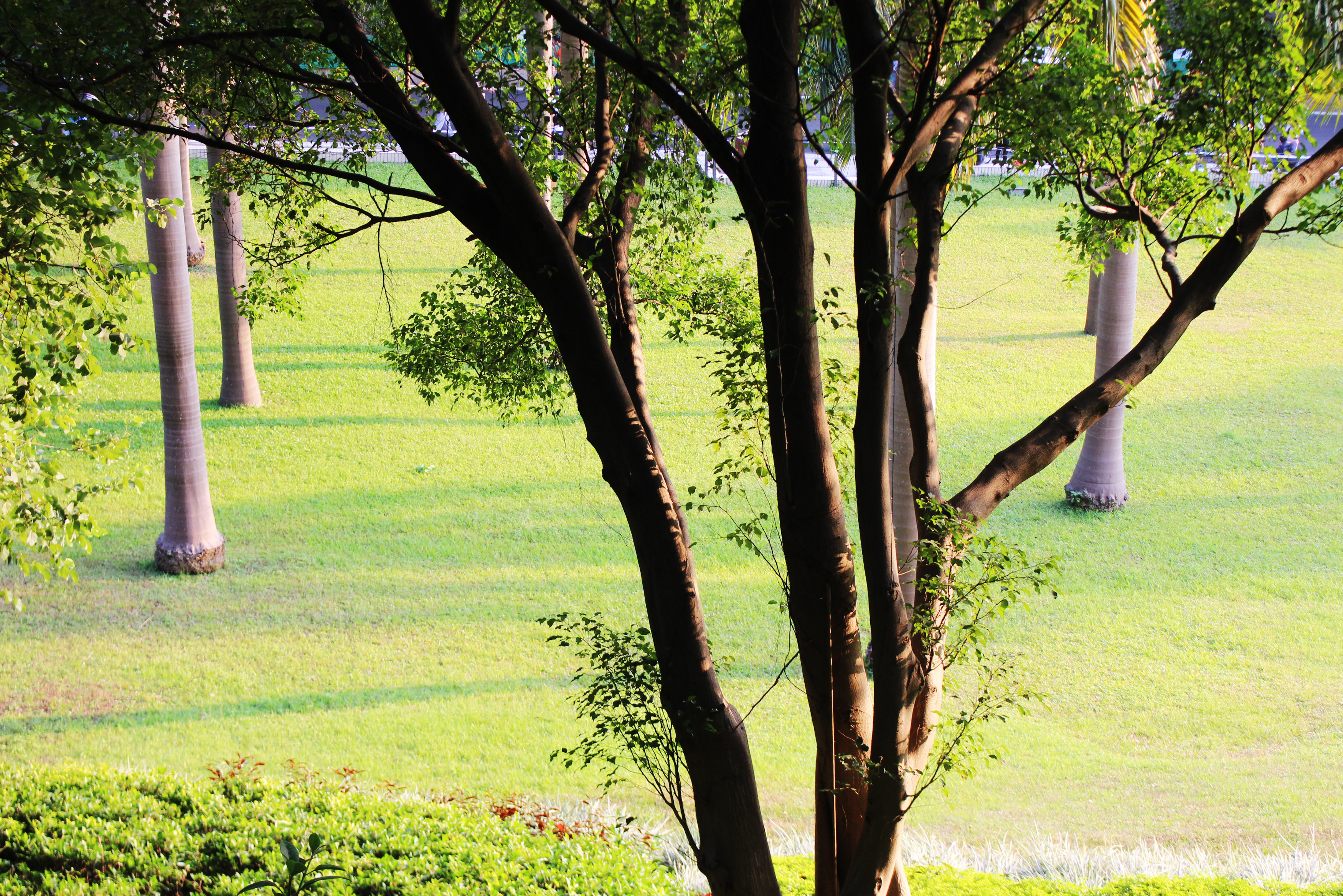 广州白云山百年的历史,广州白云山的名胜古迹