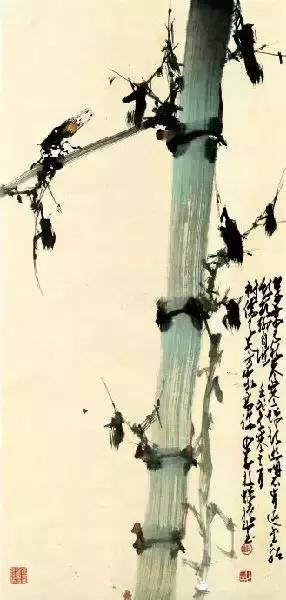 赵少昂花鸟鱼虫图片,中国花鸟大师赵少昂