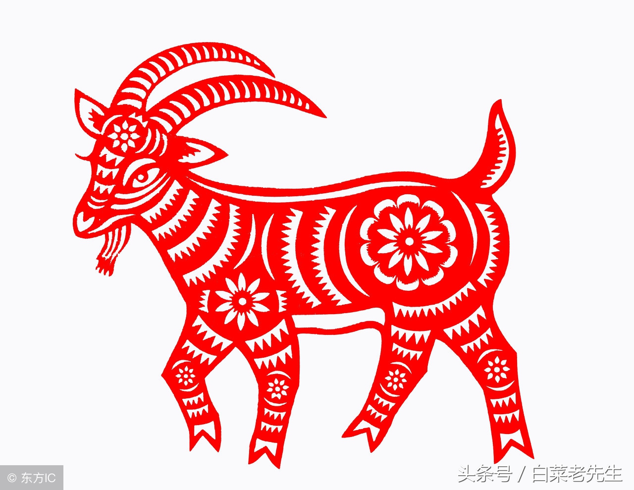 梦见出现12生肖的样子,梦见十二生肖分别代表着什么