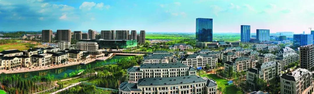 绿城2019年业绩,绿城年报发布会