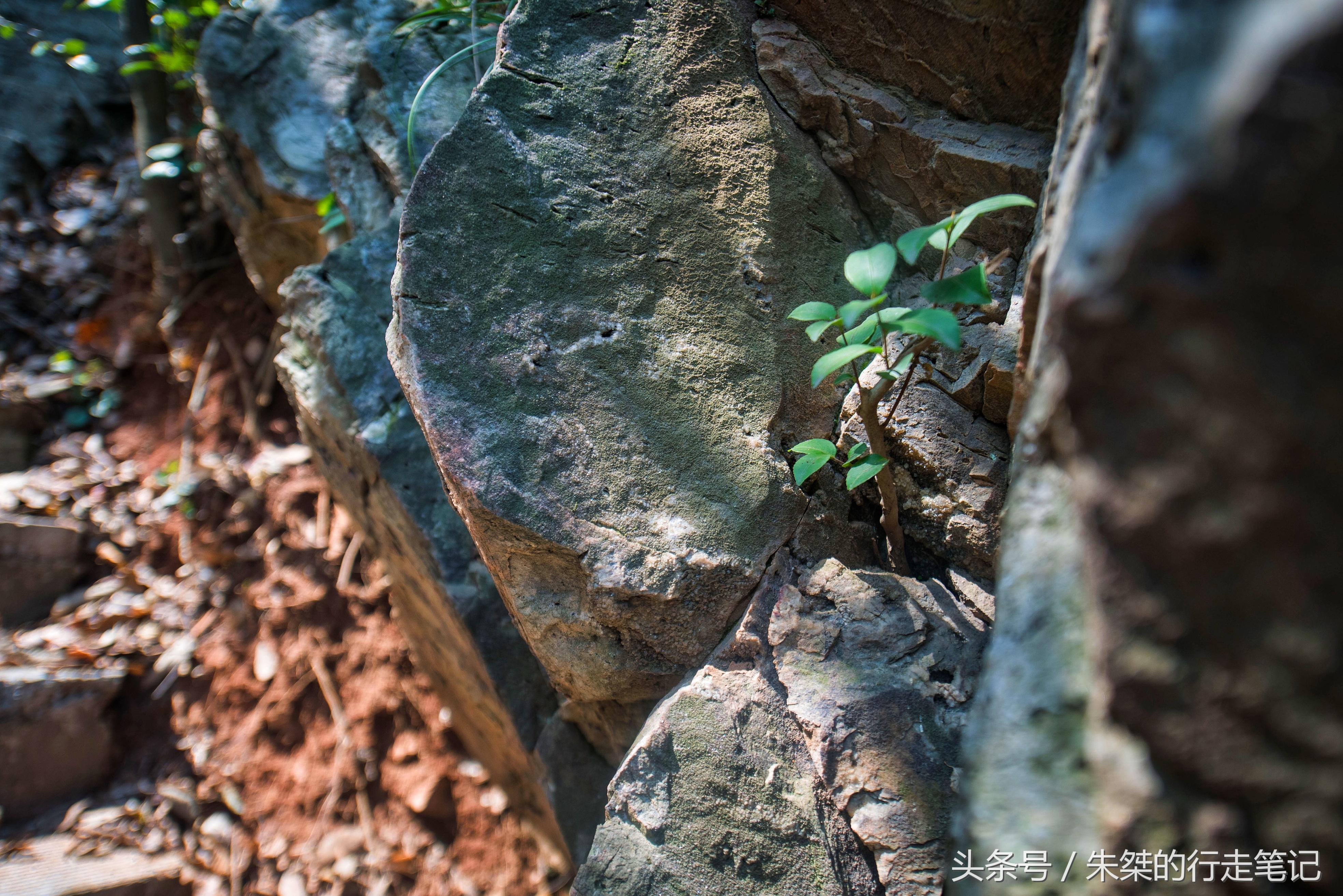 六安宝藏景点,安徽六安九寨沟风景