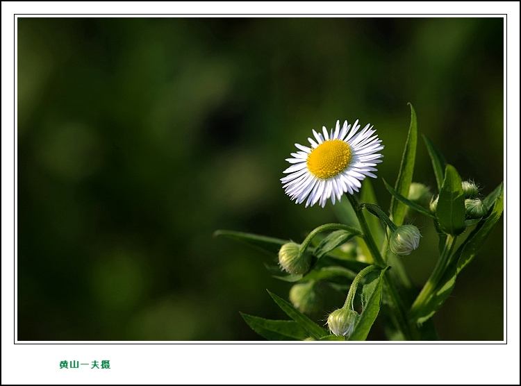 农民诗人诗潮涌——追记“洞庭歌王”潘之美