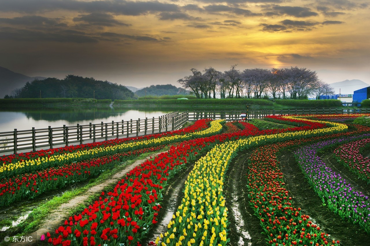 当你感觉到苦时,当你感到累了请记住这几点