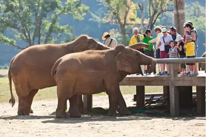 泰国四面佛周围还有什么景点,泰国北部神秘桃花源