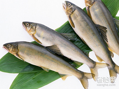 美丽乐清完整视频,乐清大美丽