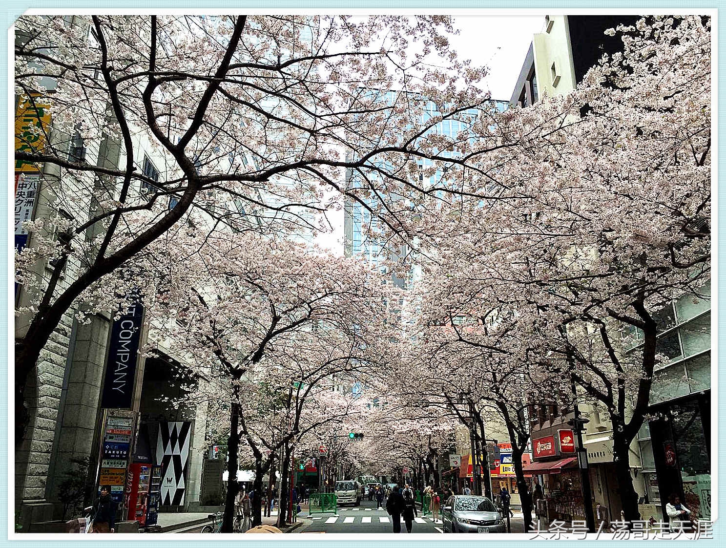 赏樱+美食+泡汤，这才是东京清明节旅游最嗨的打开模式！