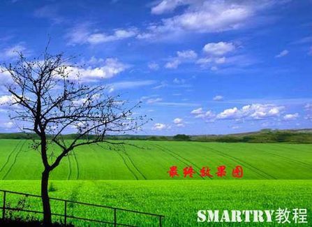 抠图抠不干净ps用哪个工具,ps抠图和ai抠图区别