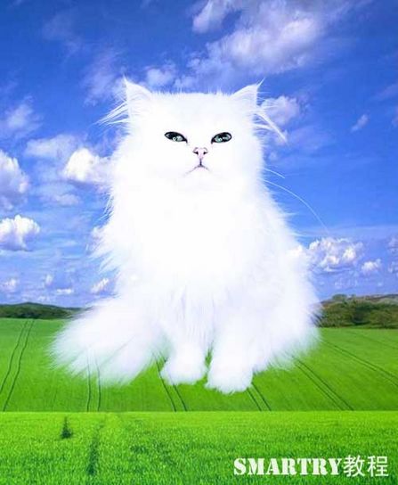 抠图抠不干净ps用哪个工具,ps抠图和ai抠图区别