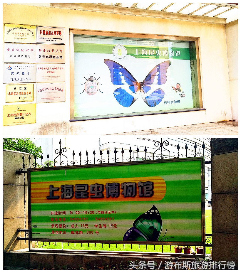 上海昆虫博物馆蜘蛛,上海昆虫博物馆珍藏馆