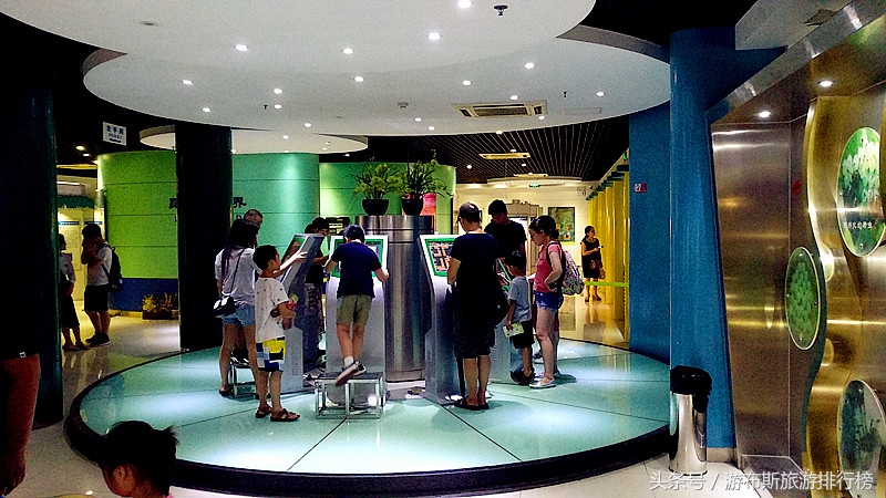 上海昆虫博物馆蜘蛛,上海昆虫博物馆珍藏馆