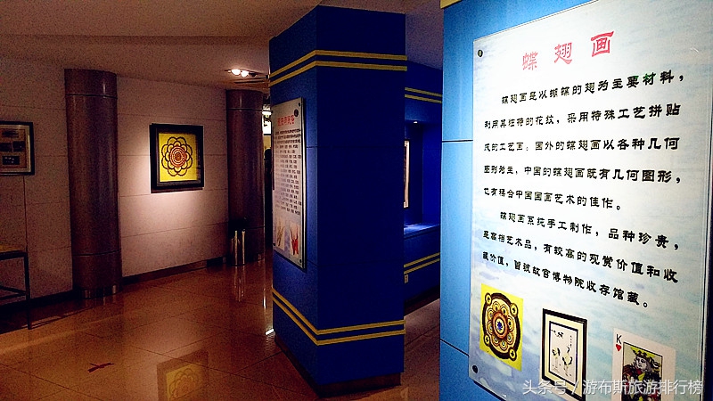 上海昆虫博物馆蜘蛛,上海昆虫博物馆珍藏馆