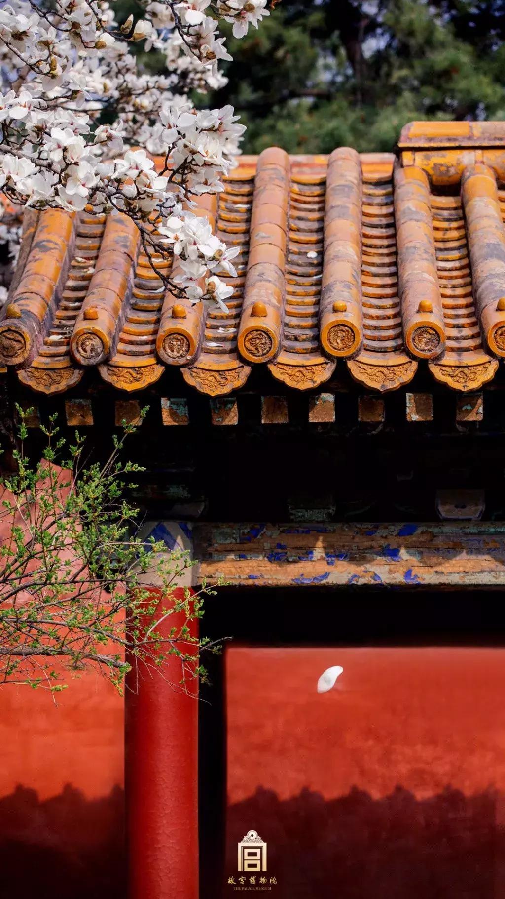天津去哪个城市免门票,天津景区门票免票政策