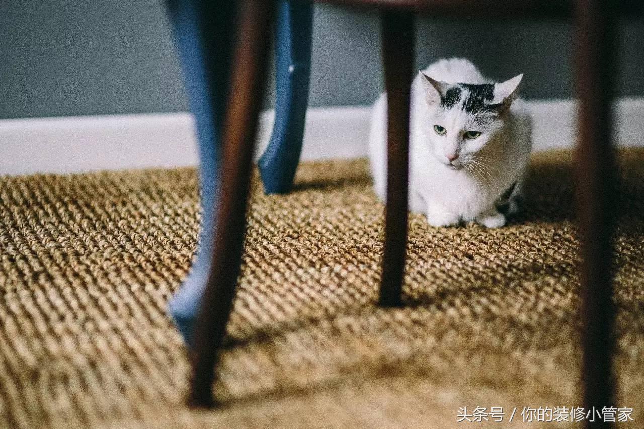 装修预算怎么控制少花钱,装修预算哪些费用最高