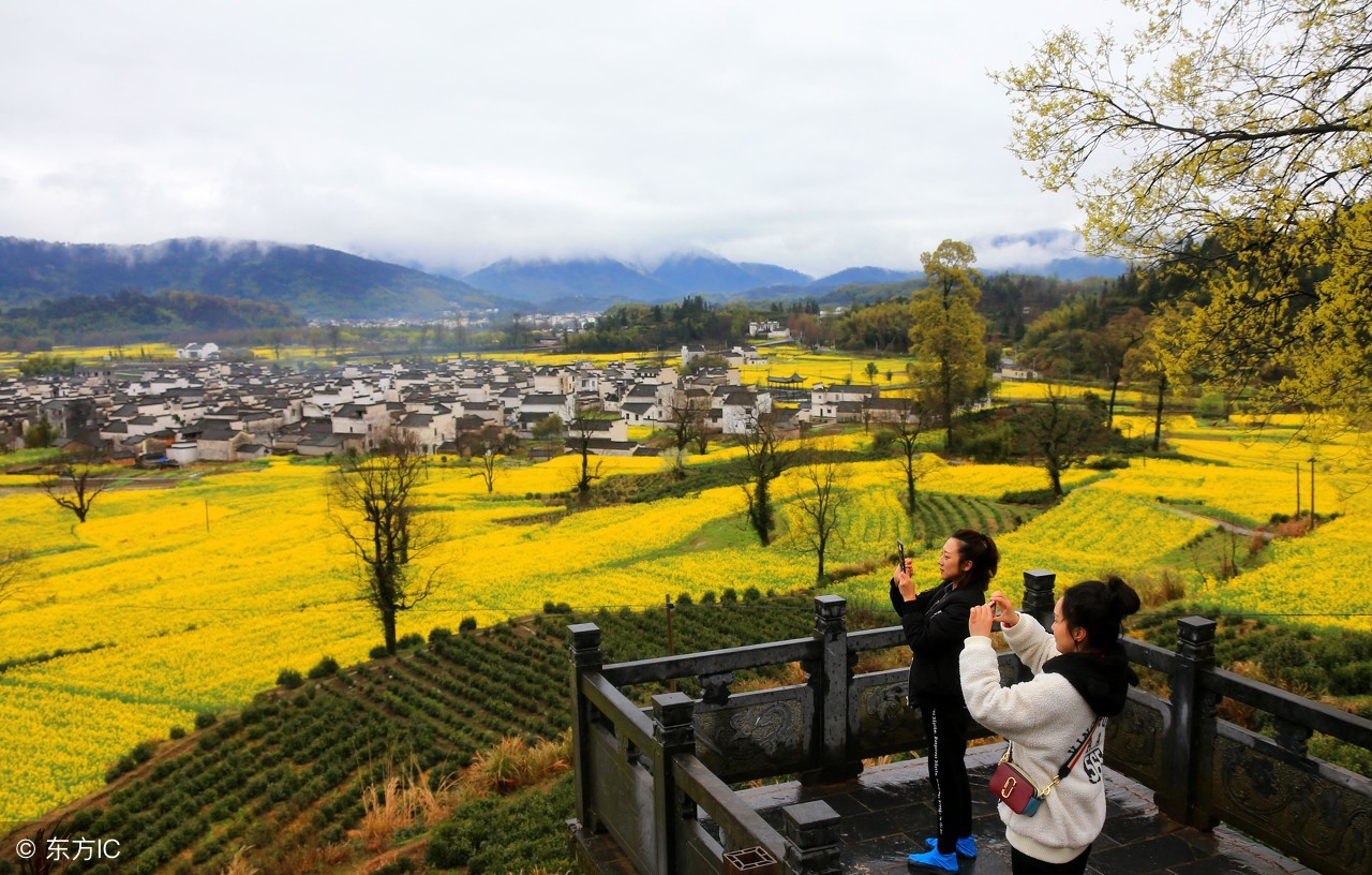 芜湖和滁州哪个适合居住,安徽合肥和芜湖哪个城市更好