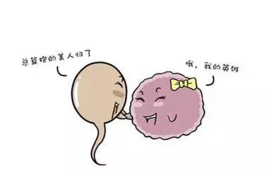 二胎后如何修复子宫,生娃后如何恢复子宫