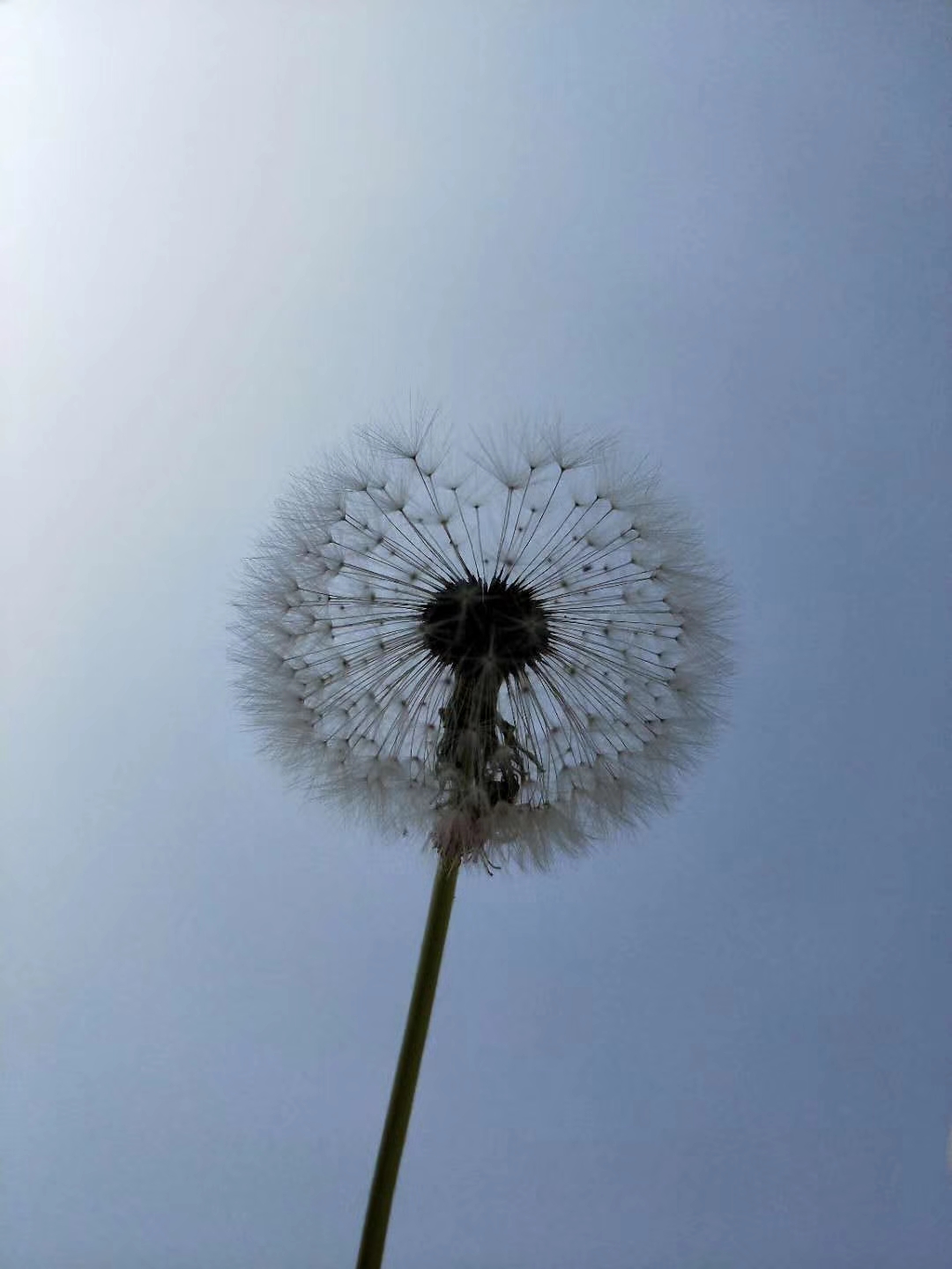 户口年龄与实际年龄变更申请,户口改年龄怎么写申请