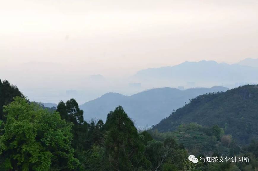 温州问道,温州问界