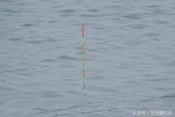 钓鲫鱼有风浪怎么调漂,有风浪的大湖面怎么调漂