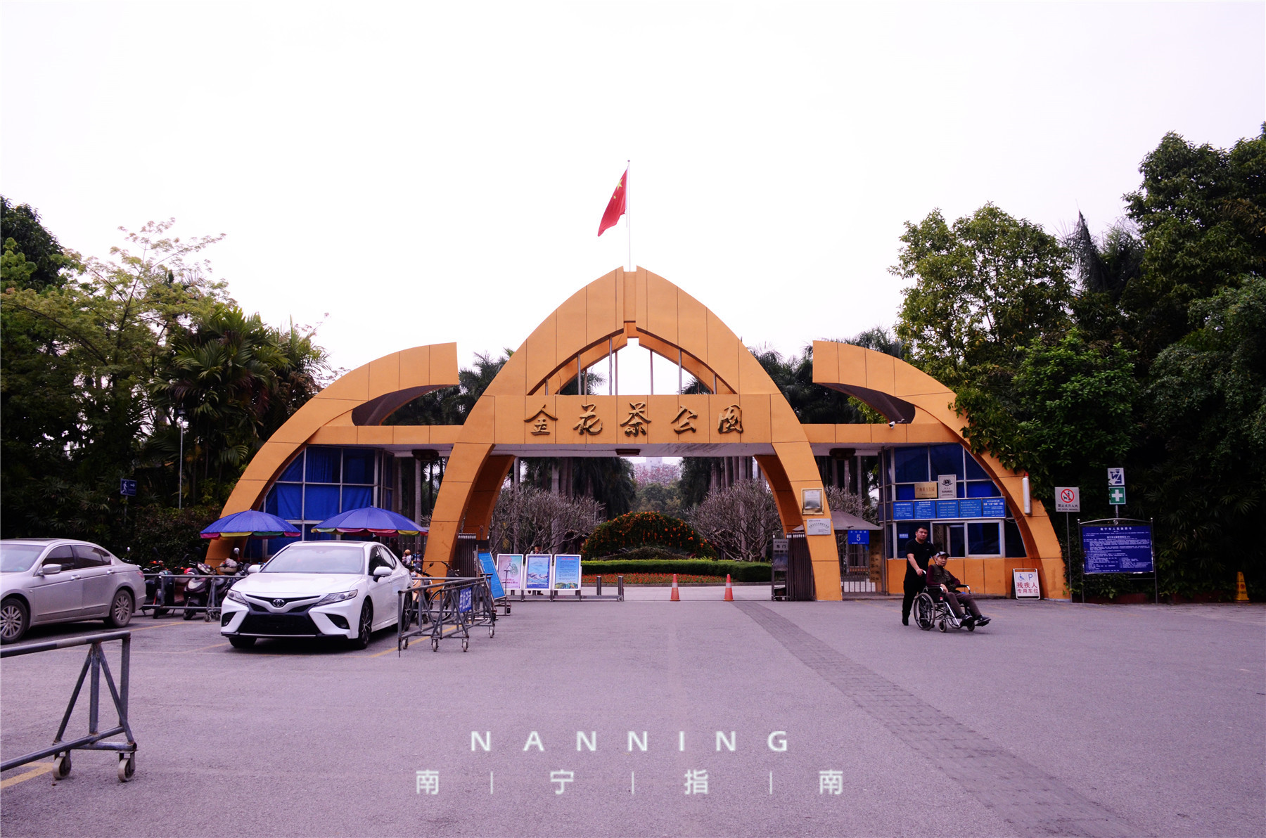 金花茶公园景点,走进金花茶公园