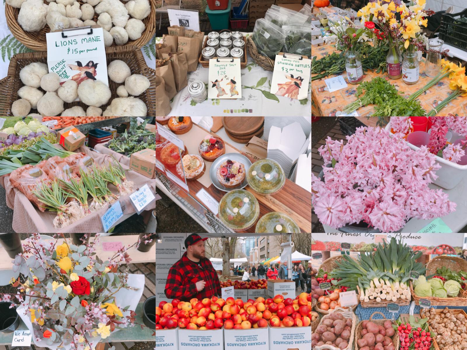 美国波特兰旅游休闲的自助导览 (西雅图和波特兰旅游攻略)