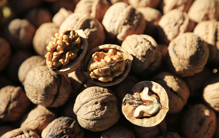 坚果应该多吃哪种,坚果吃多了有什么危害