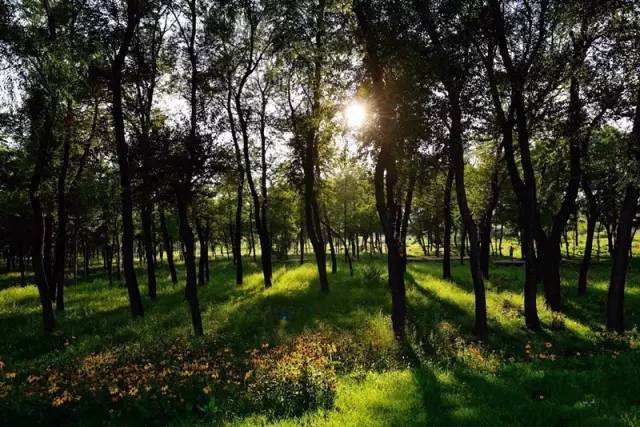 从太原自驾到临汾需要几个小时,从太原自驾到成都