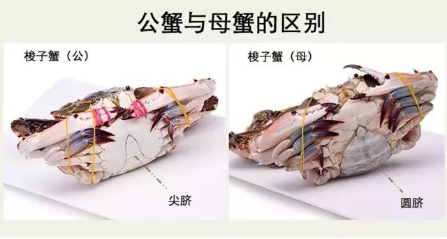 烟台海边海鲜寻找攻略,盘点海鲜市场所有进口大海鲜