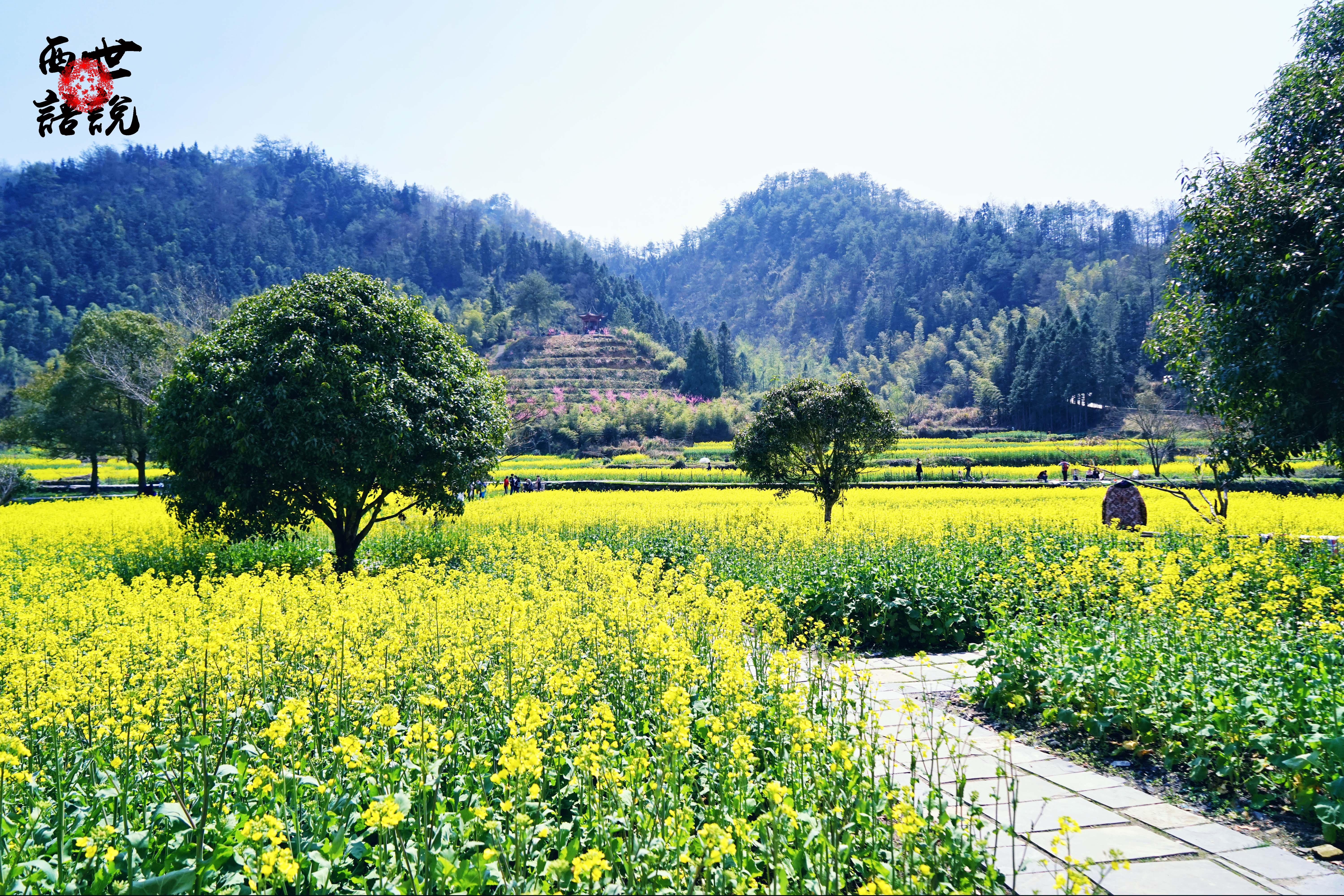 航拍西递：看它如何成为风水教科书风水师如何营造格局至上的城