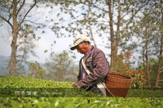 云南沧源靠近哪个国家,云南沧源最好玩的地方