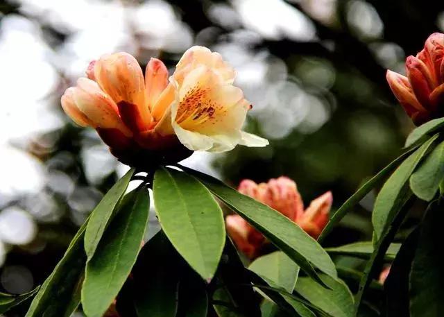 五一出行避开人从众的好去处,五一避开人群小众旅游地