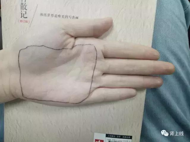 肾友食堂一日三餐食谱,肾友高钾食物