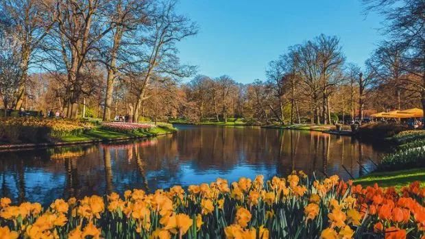 赌博、吸毒、嫖娼？带你重新认识荷兰这座“成人迪士尼”