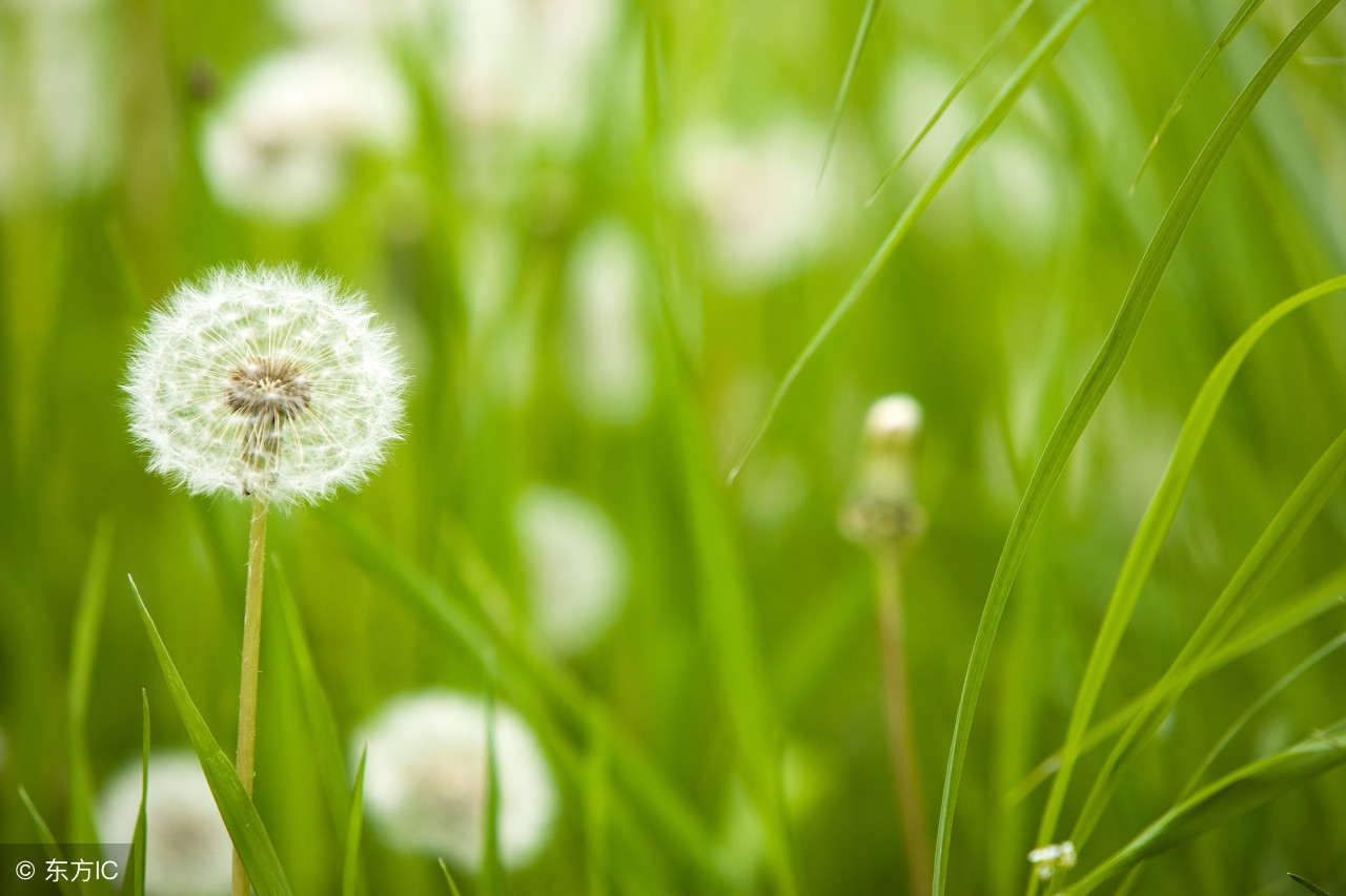 财务必须掌握四个涉税问题,作为会计怎么能出错呢
