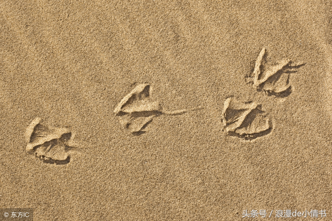 不要短暂的温存只要一世的陪伴,想要你短暂的温存许你一世的陪伴